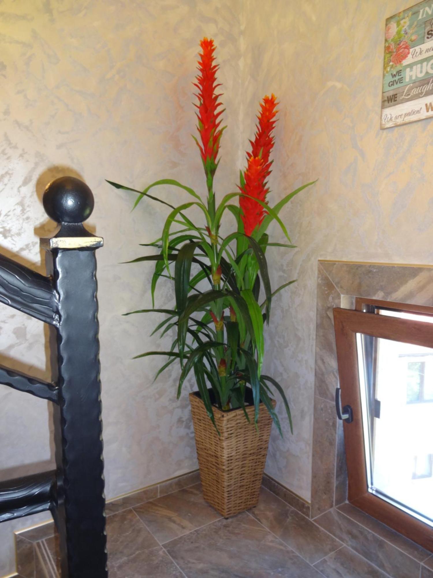 Apartments Dona Chernomorets Buitenkant foto
